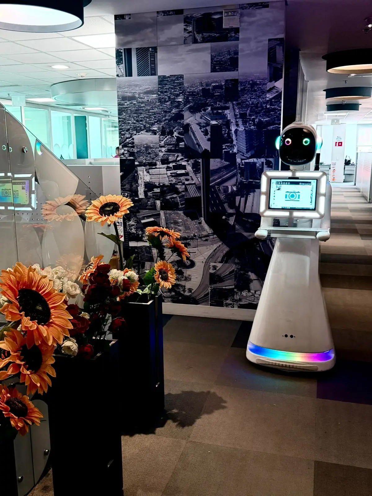 alquiler de robot para fotos